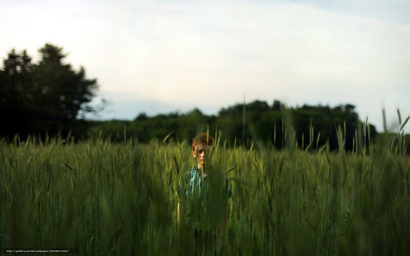 boy in a wheat field