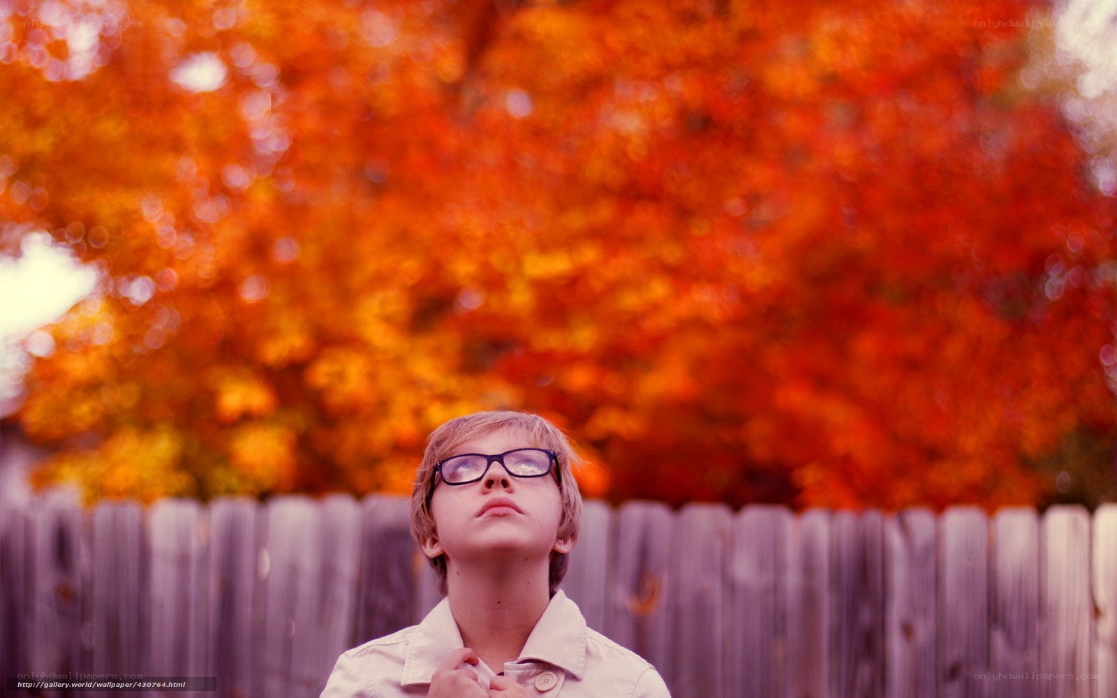 boy in autumn with glasses