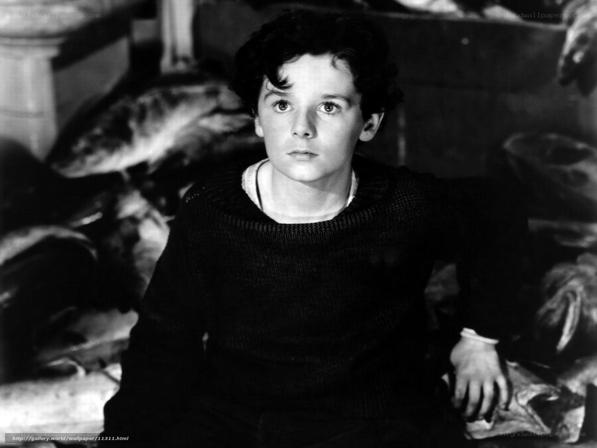 boy in dark sweater