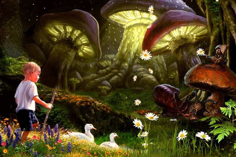 Boy in Forest with Ducks