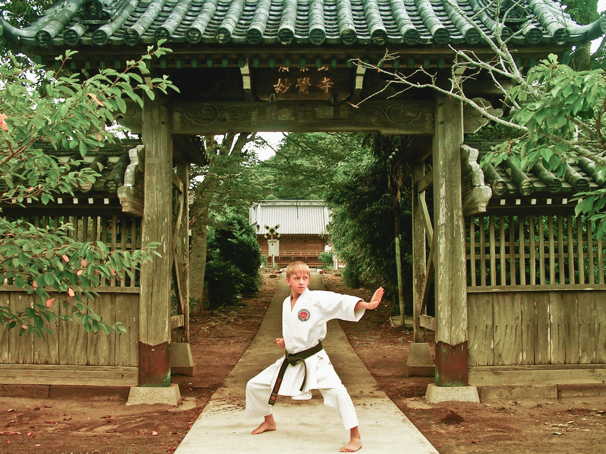 Boy in karate pose at temple gate
