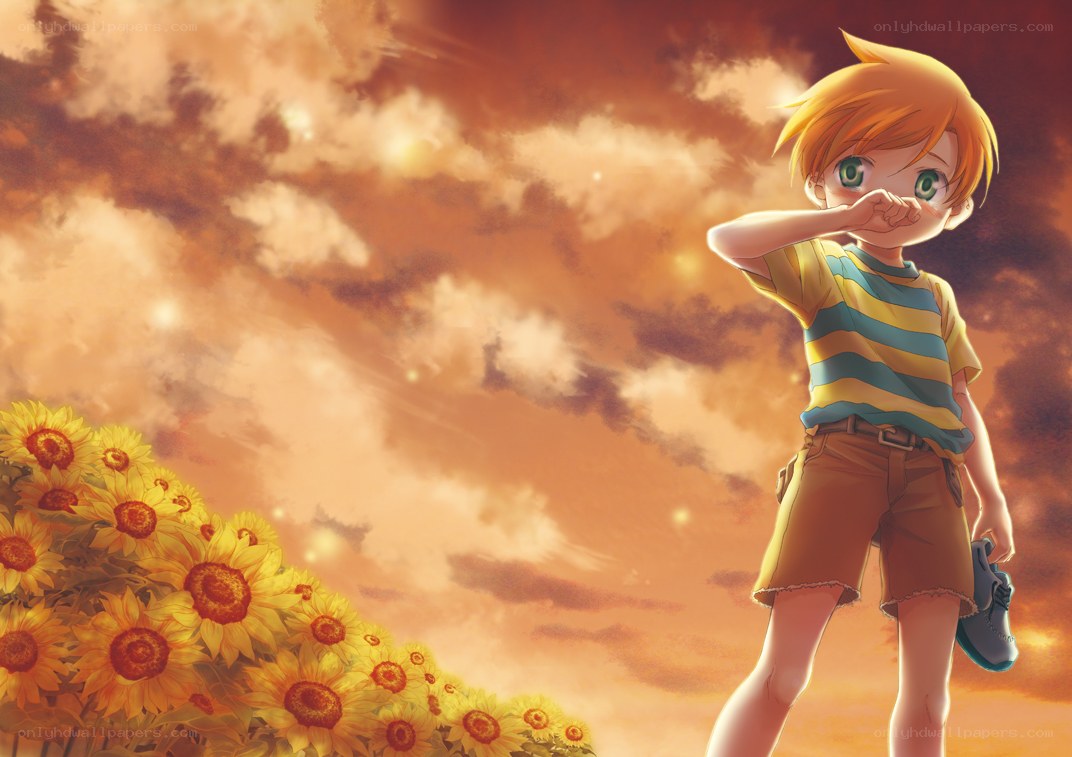 boy in sunflower field
