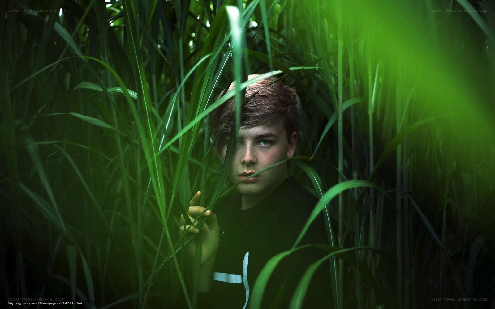 boy in tall grass