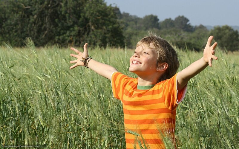 Boy in Wheat Field — Green