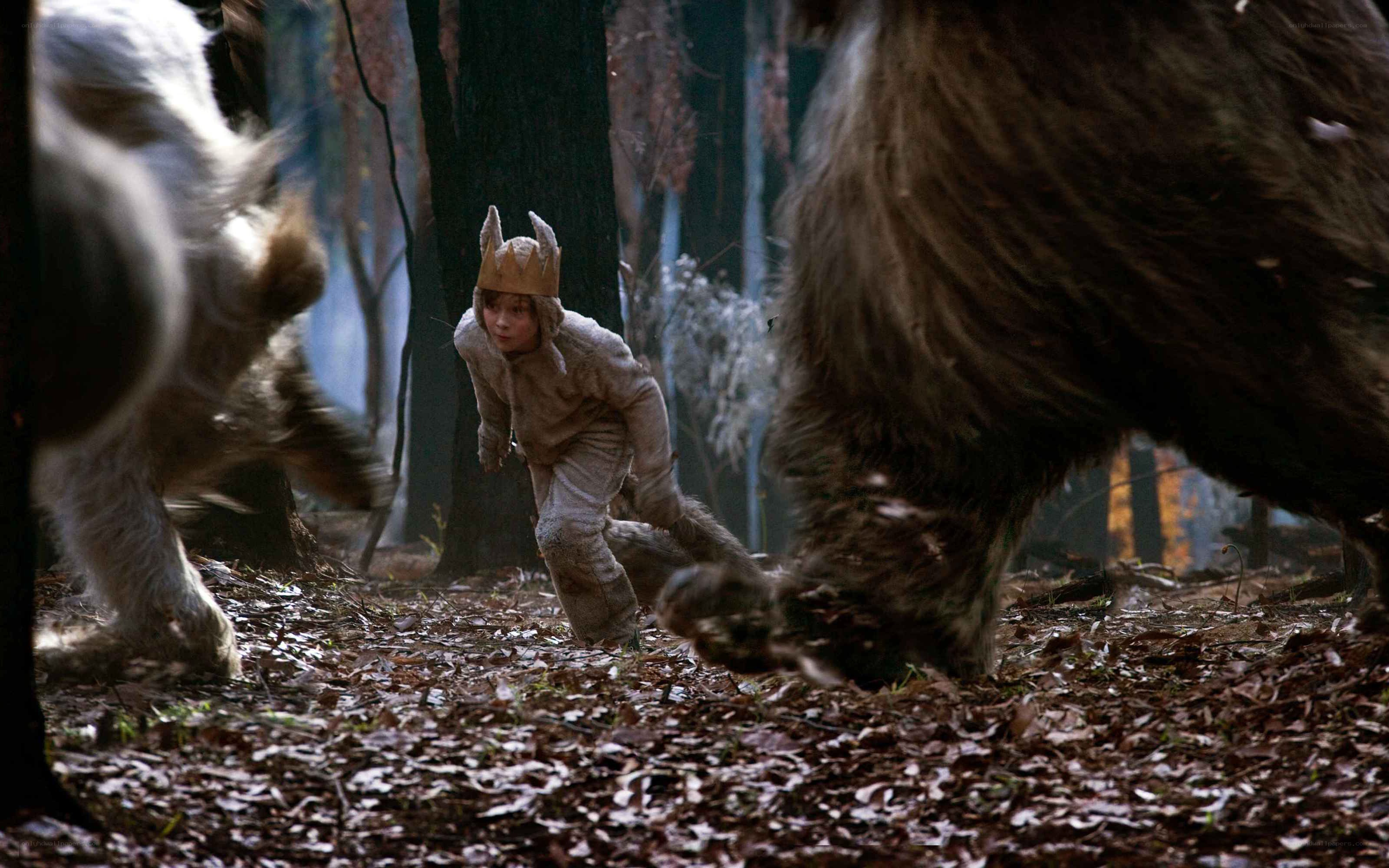 Boy in wolf costume in forest