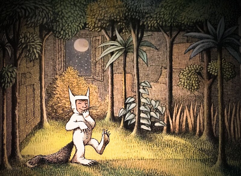 Boy in Wolf Costume