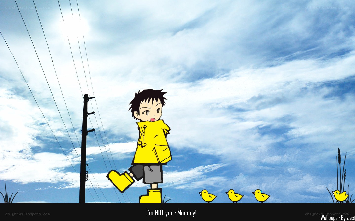 Boy in yellow raincoat with ducklings