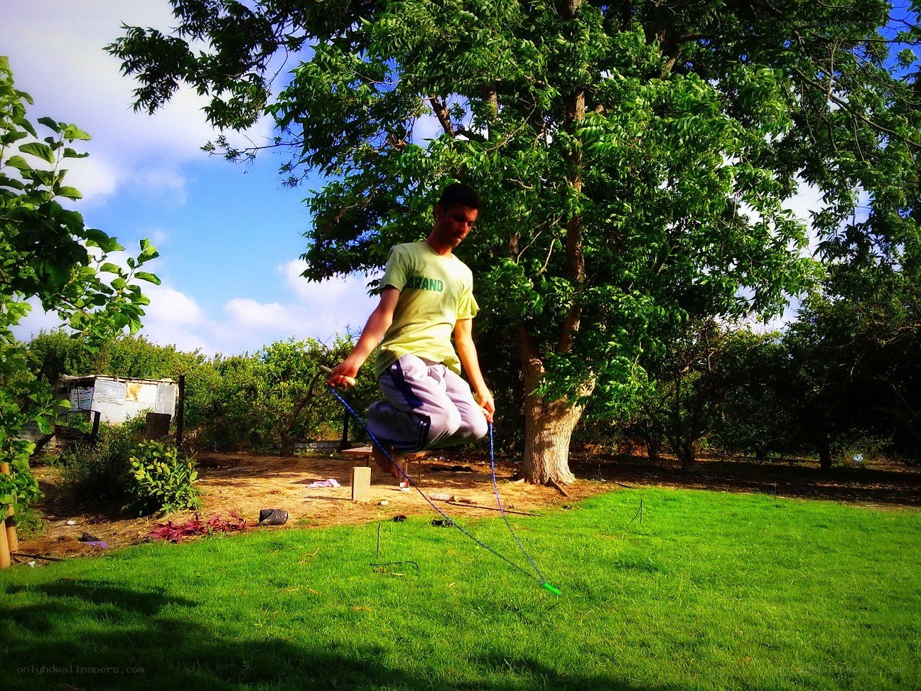 Boy jumping rope in garden