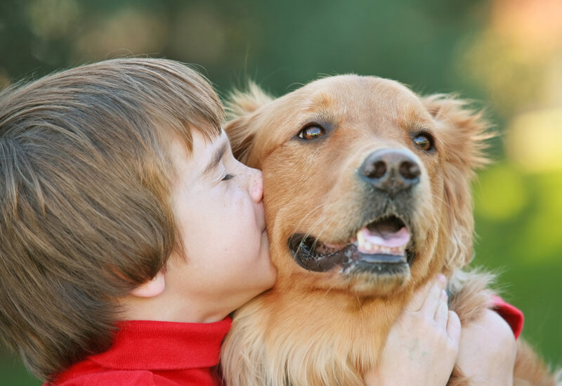 Boy Kissing Golden Retriever