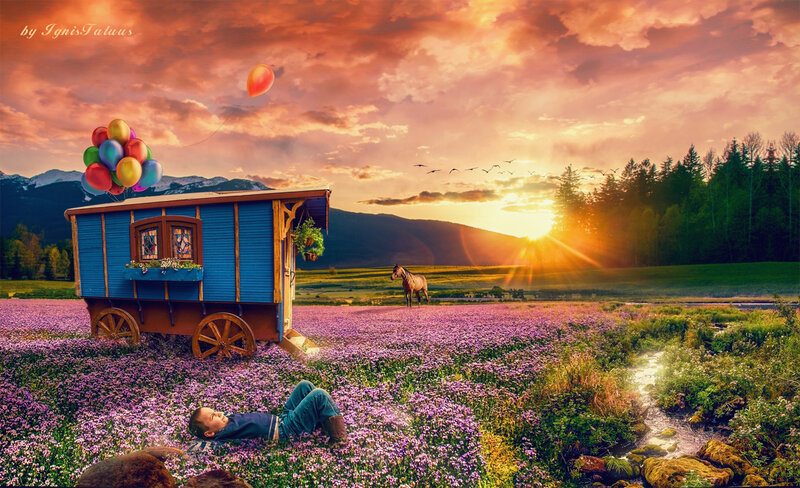 Boy Lying in Flower Field