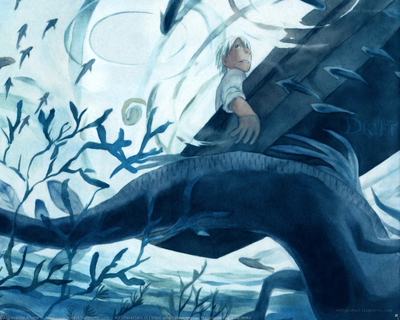 Boy on a giant fish