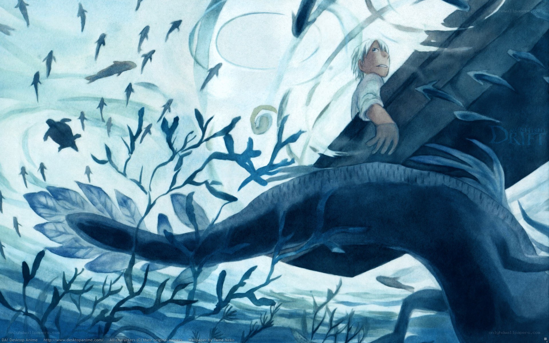 boy on a whale in the ocean