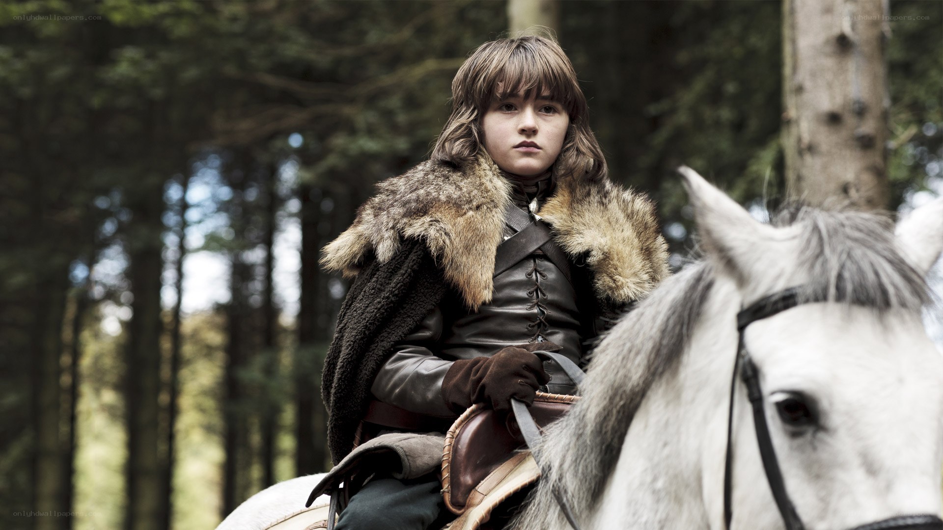 boy on horse in forest