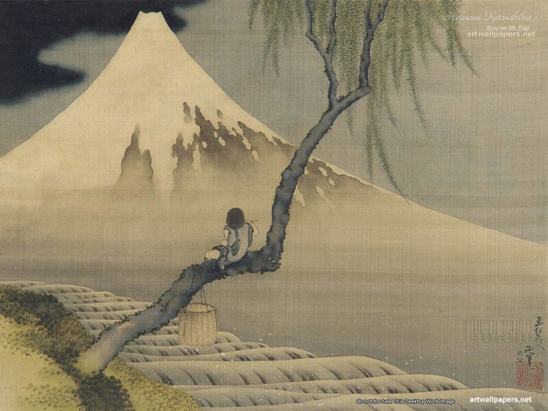 Boy on Mount Fuji