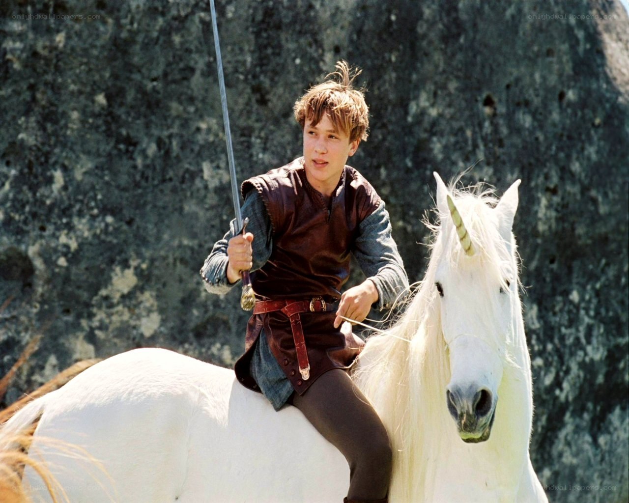 boy on white unicorn with sword