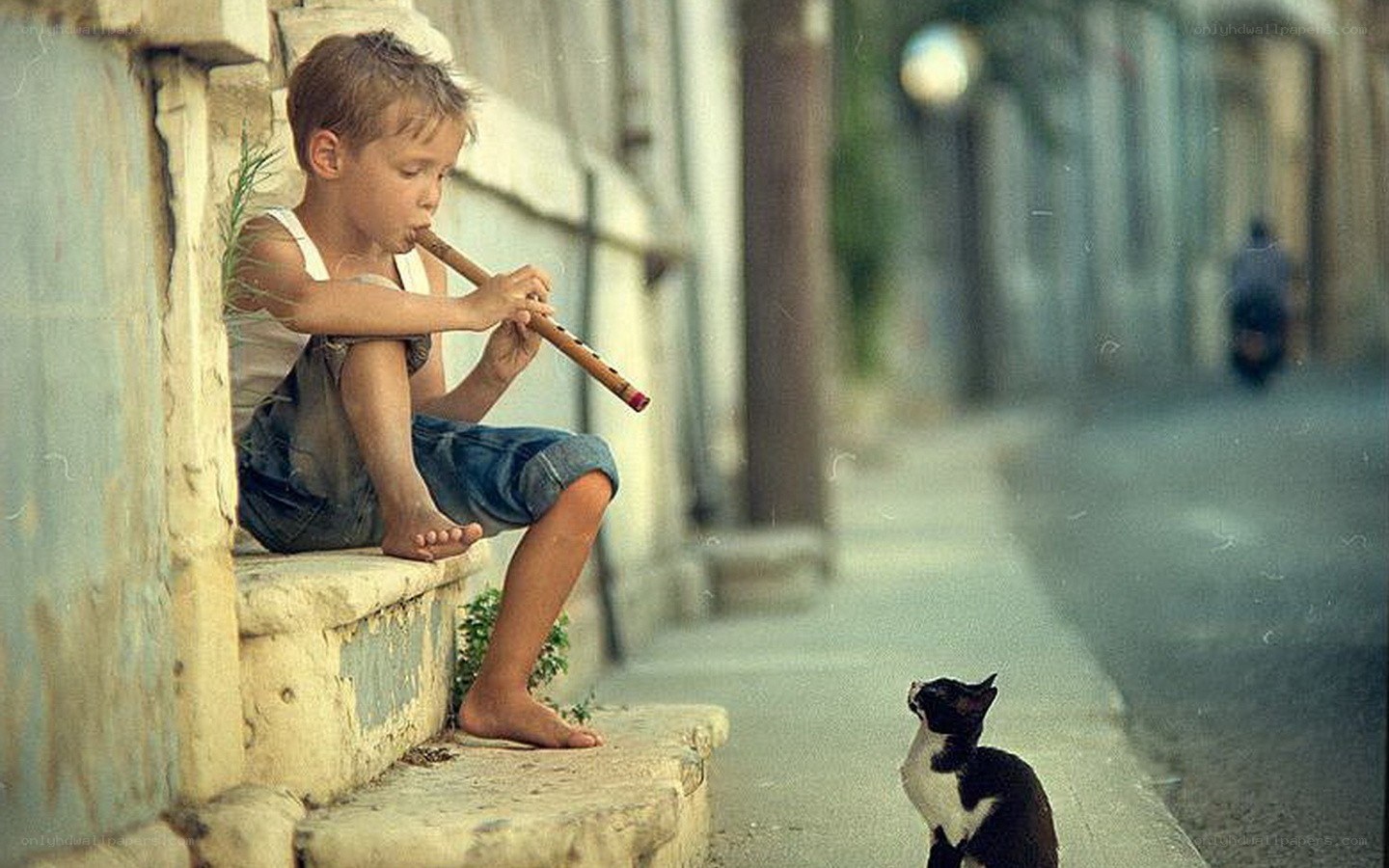 Boy playing flute for a cat