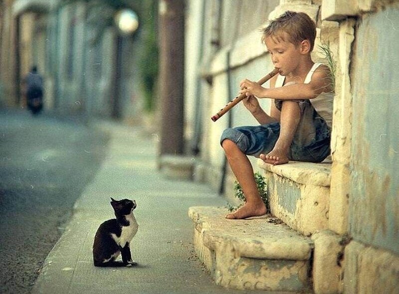 Boy Playing Flute with Cat