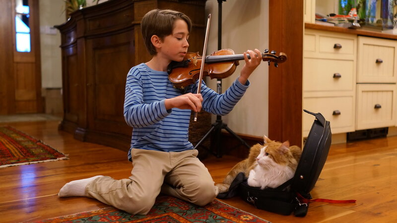 Boy Playing Violin — Brown, Calm