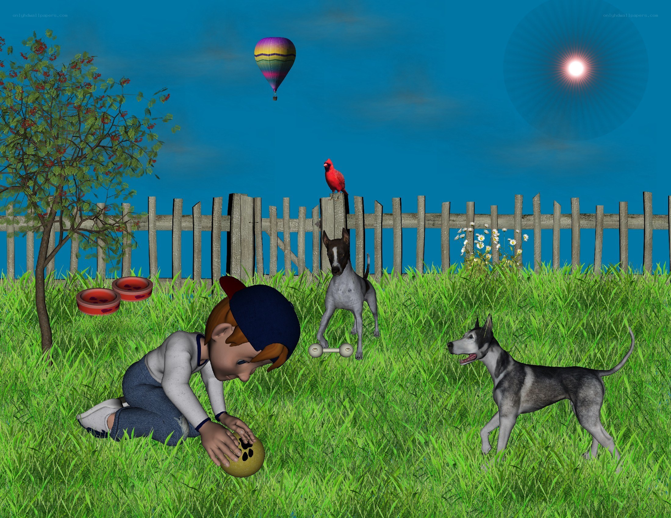 Boy playing with dogs in yard