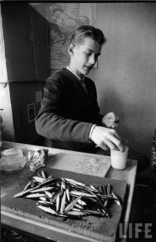 boy preparing fish bait