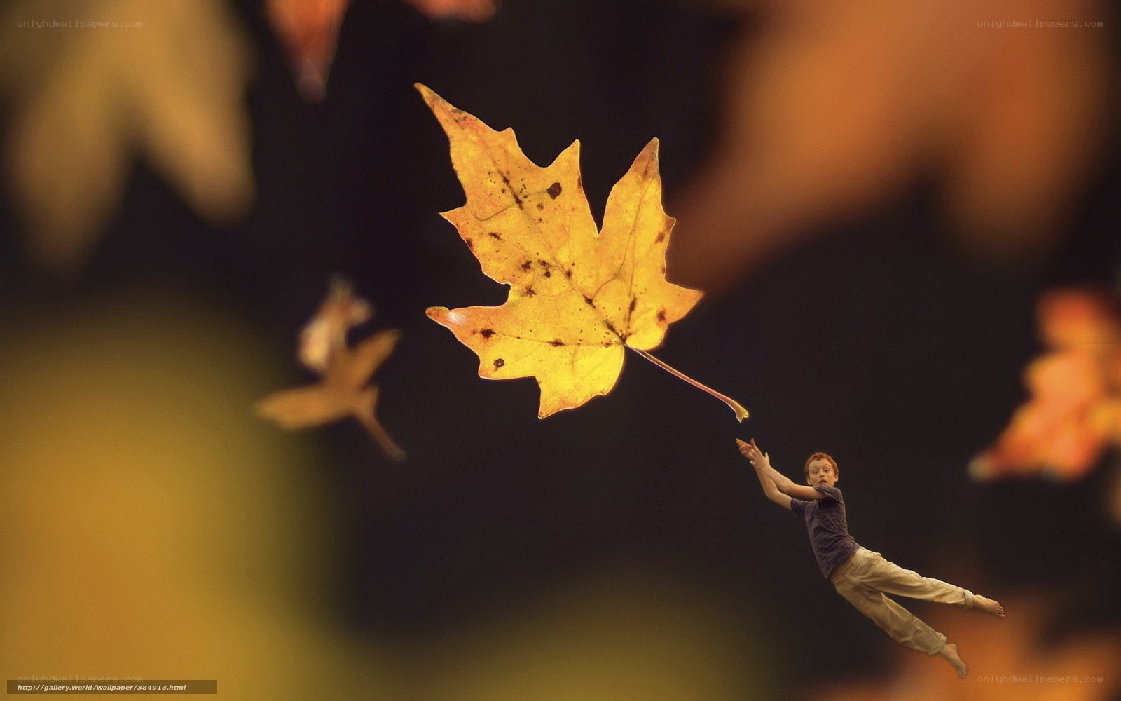 Boy reaching for a falling leaf