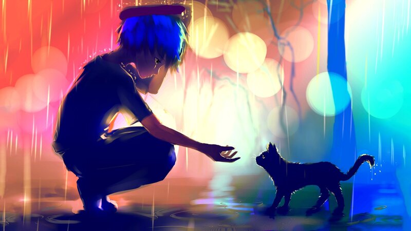 Boy Reaching for Cat
