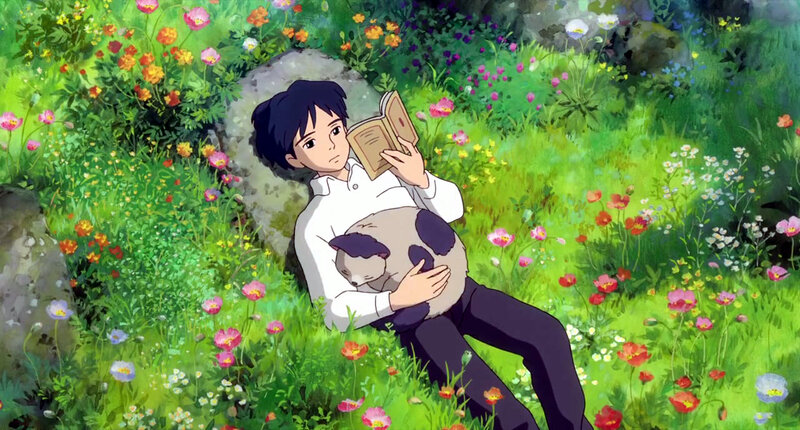 Boy Reading in Field