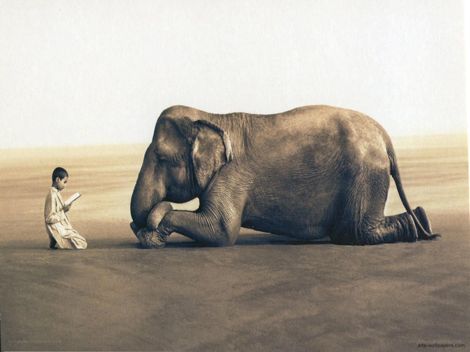 Boy reading to an elephant