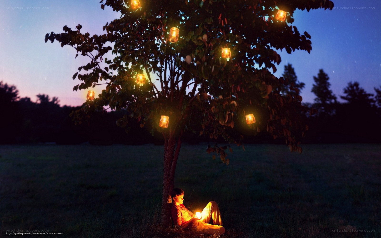 Boy reading under a lantern-lit tree
