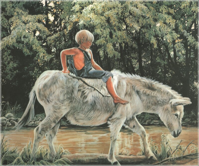 Boy riding a donkey