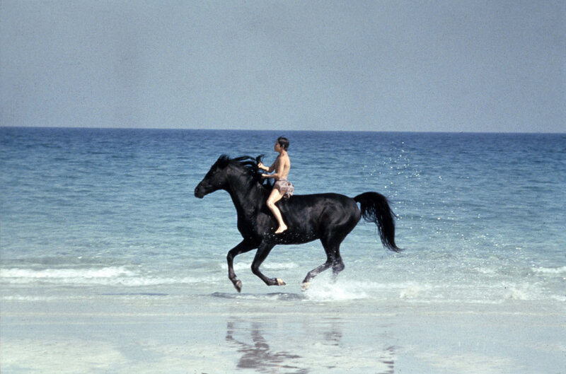 boy riding horse on beach
