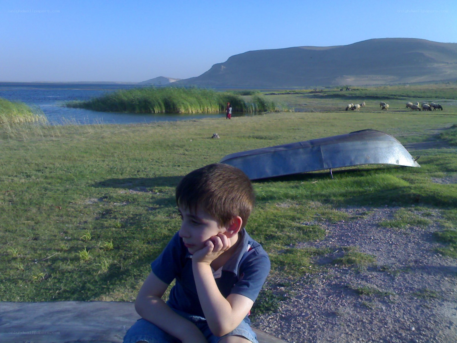 Boy sitting by a lake