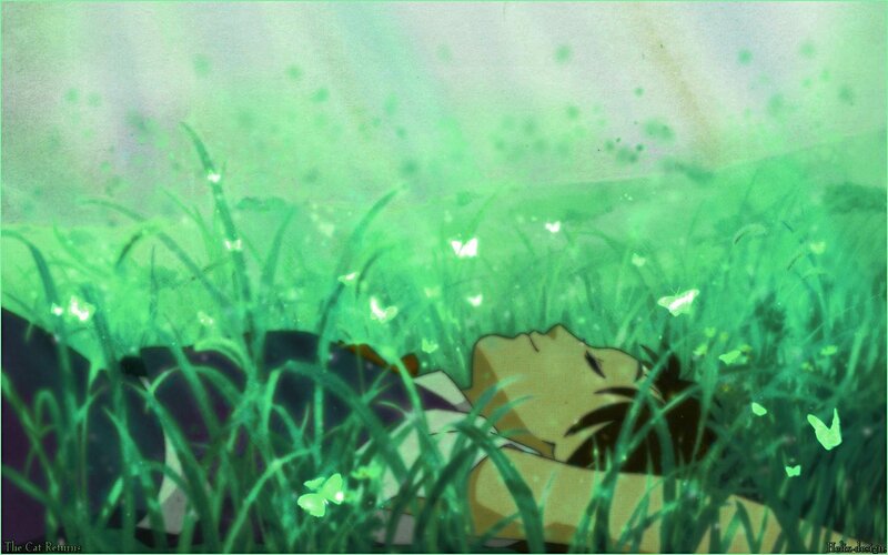 boy sleeping in a field