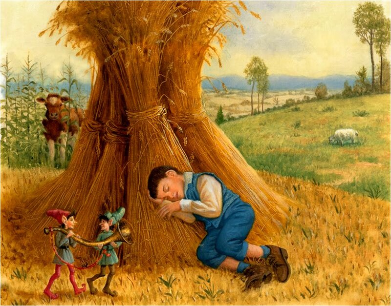 Boy Sleeping in Field