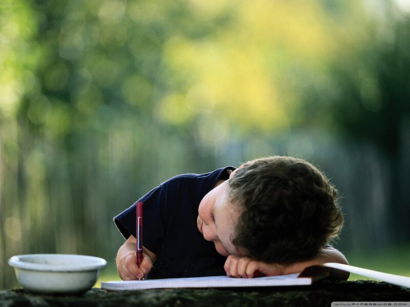 Boy Sleeping on Notebook