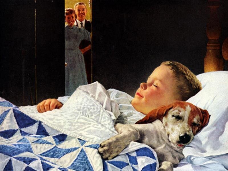 Boy Sleeping with Dog — Blue