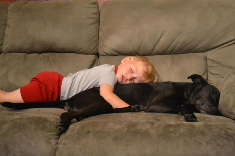 Boy Sleeping with Dog — Gray