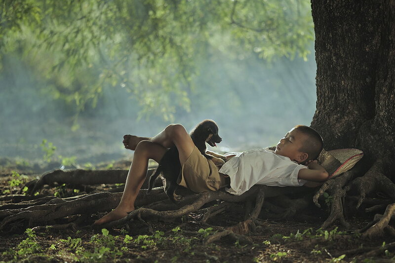 Boy Sleeping with Puppy — Green
