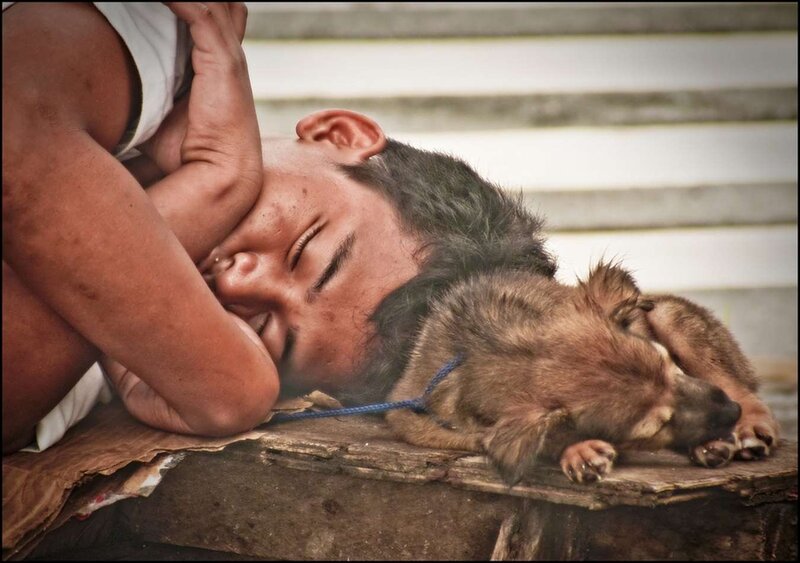 Boy Sleeping with Puppy