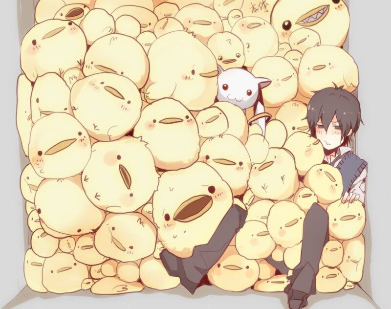 boy surrounded by chicks