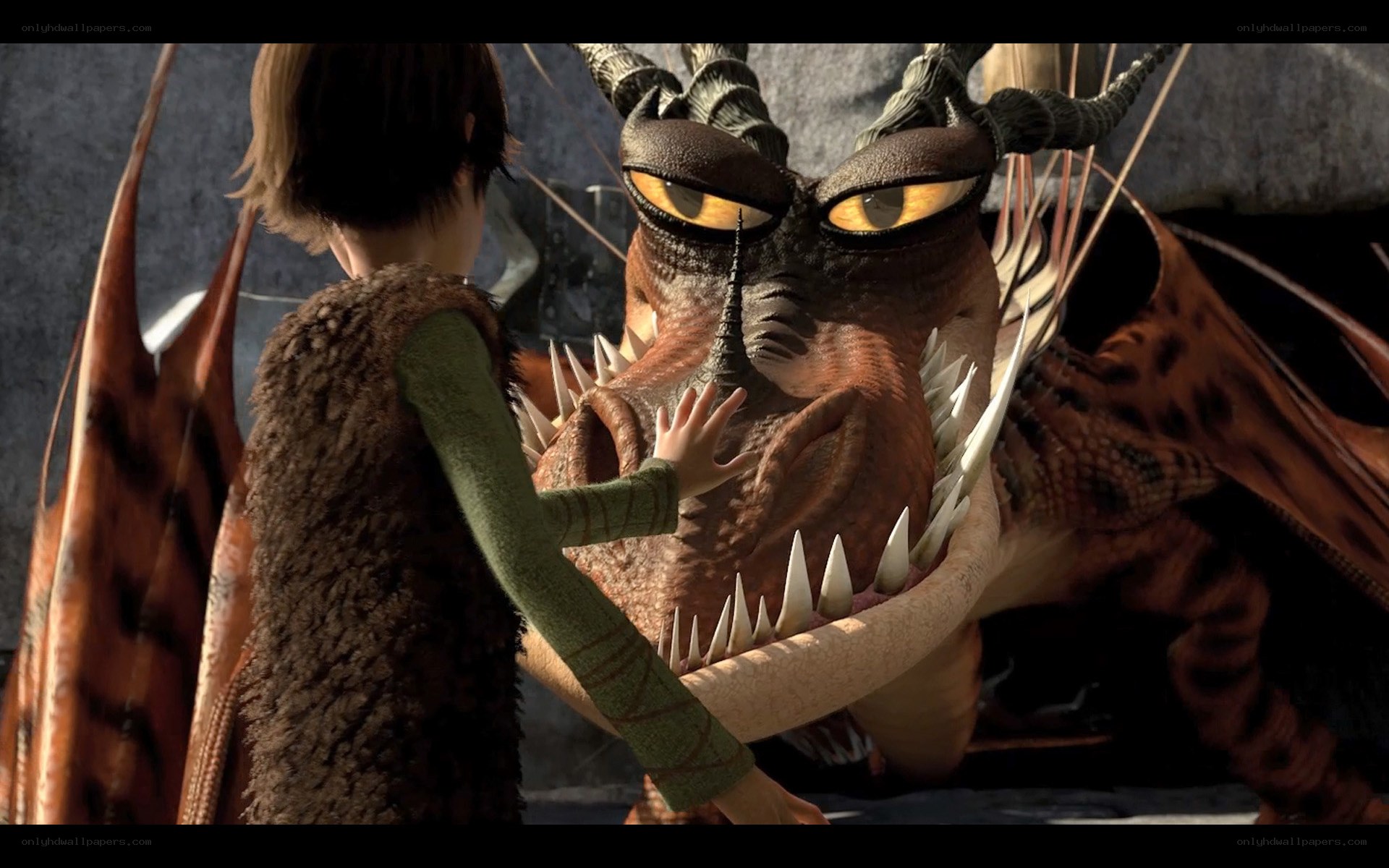 boy touching dragon's face