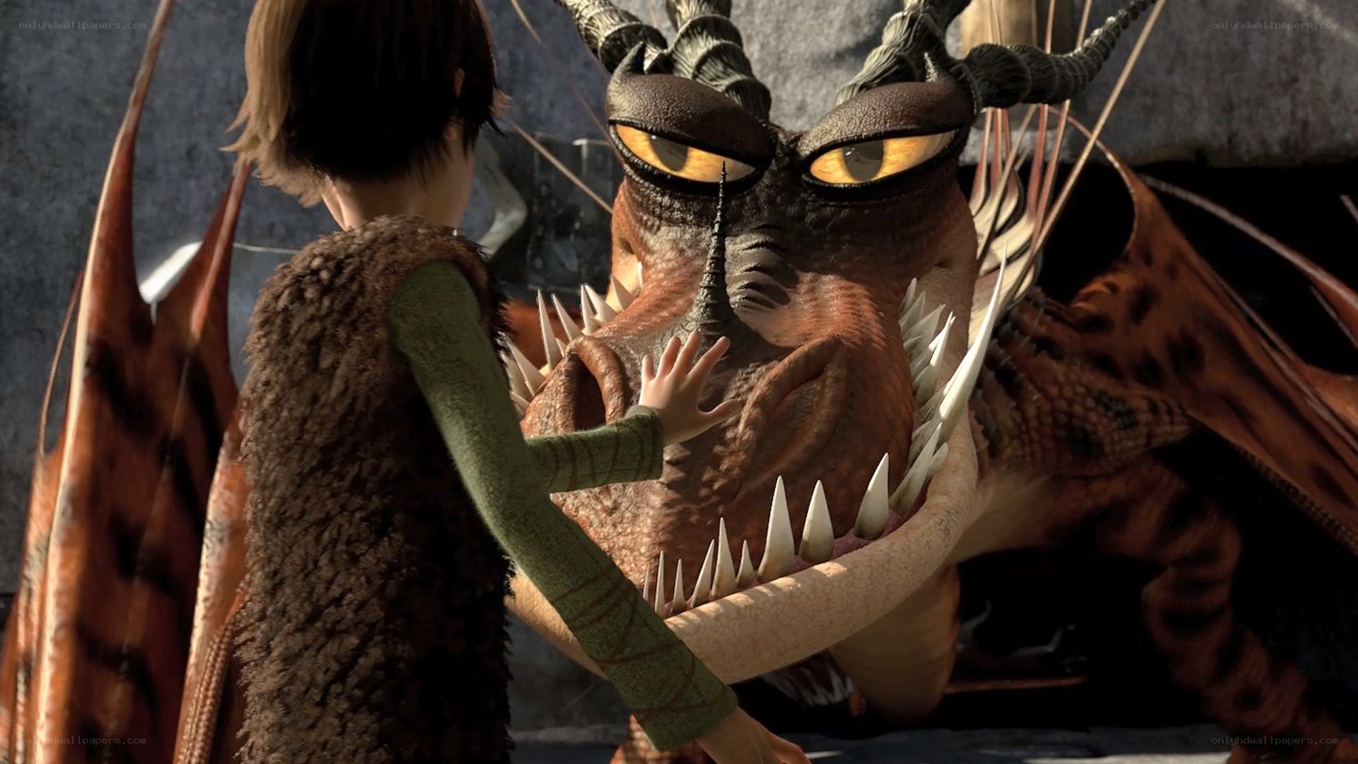 boy touching dragon's face
