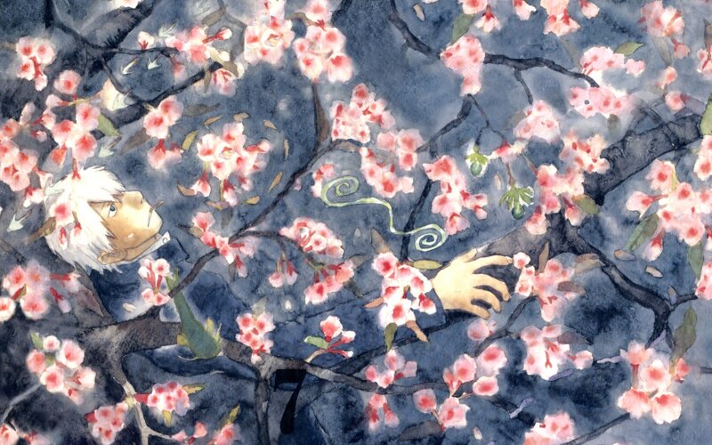 boy under cherry blossoms