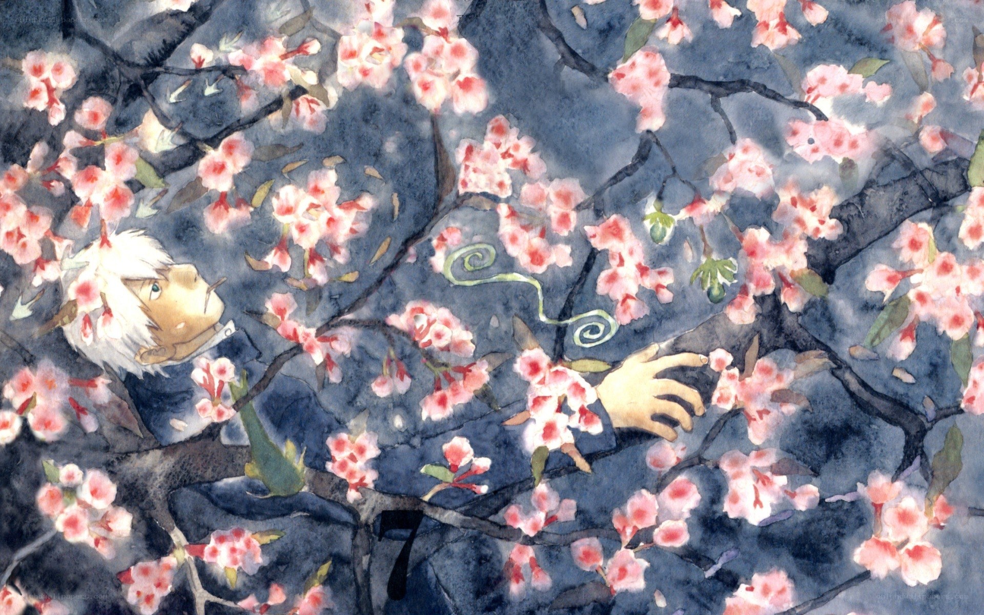 boy under cherry blossoms