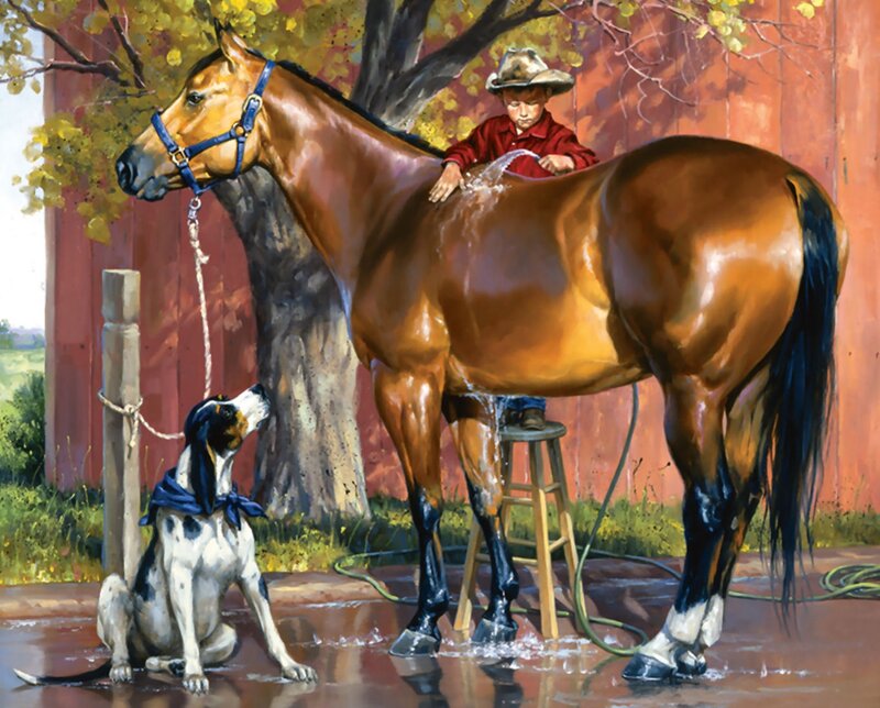 Boy Washing Horse