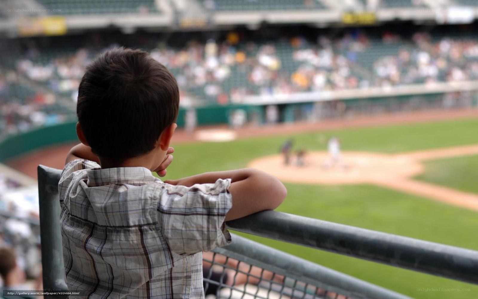 boy watching baseball game