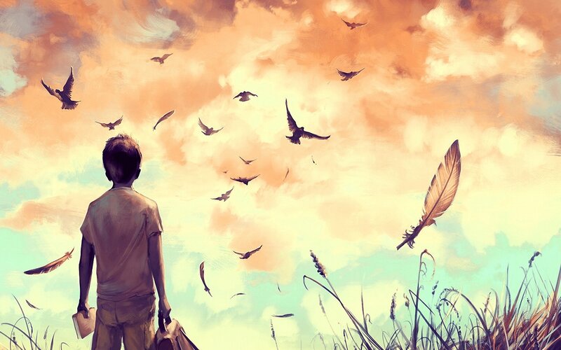 Boy Watching Birds — Orange, Serene