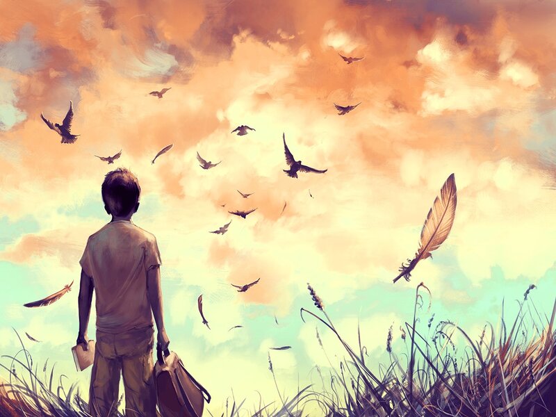 Boy Watching Birds — Orange