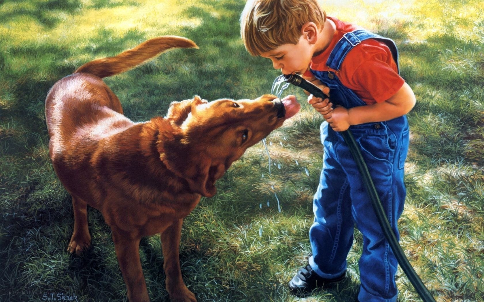 Boy watering dog with hose