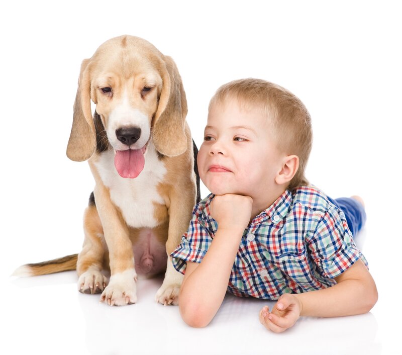 Boy with Beagle Puppy